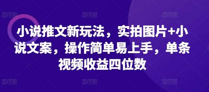 小说推文新玩法，实拍图片+小说文案，操作简单易上手，单条视频收益四位数树藤网-专注分享网络创业项目落地实操课程 – 全网首发_高质量创业项目输出好项目网