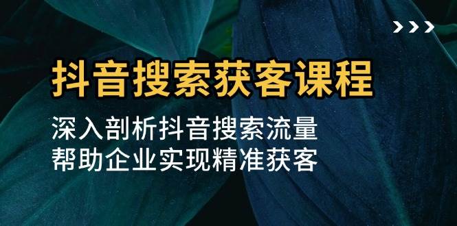 （13465期）抖音搜索获客课程：深入剖析抖音搜索流量，帮助企业实现精准获客树藤网-专注分享网络创业项目落地实操课程 – 全网首发_高质量创业项目输出好项目网