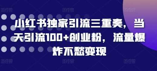 小红书独家引流三重奏，当天引流100+创业粉，流量爆炸不愁变现【揭秘】树藤网-专注分享网络创业项目落地实操课程 – 全网首发_高质量创业项目输出好项目网