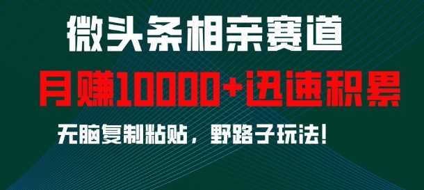 微头条相亲赛道，迅速积累，无脑复制粘贴，野路子玩法，月入1w树藤网-专注分享网络创业项目落地实操课程 – 全网首发_高质量创业项目输出好项目网