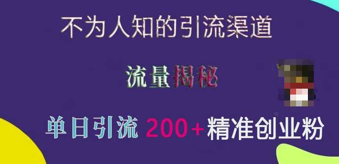 不为人知的引流渠道，流量揭秘，实测单日引流200+精准创业粉【揭秘】树藤网-专注分享网络创业项目落地实操课程 – 全网首发_高质量创业项目输出好项目网